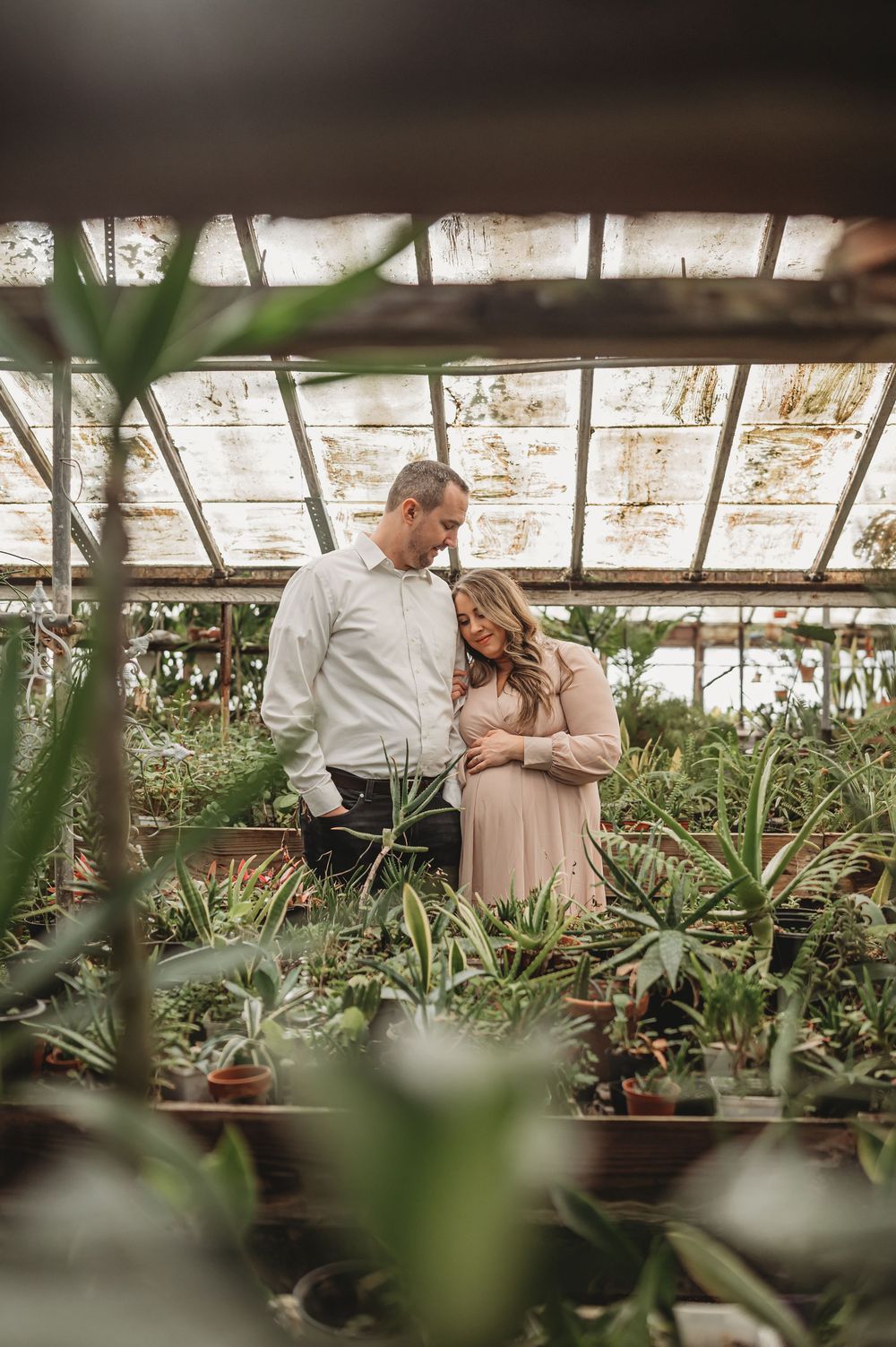 Expecting couple sharing tender moment surrounded by lush green plants inside a rustic greenhouse.