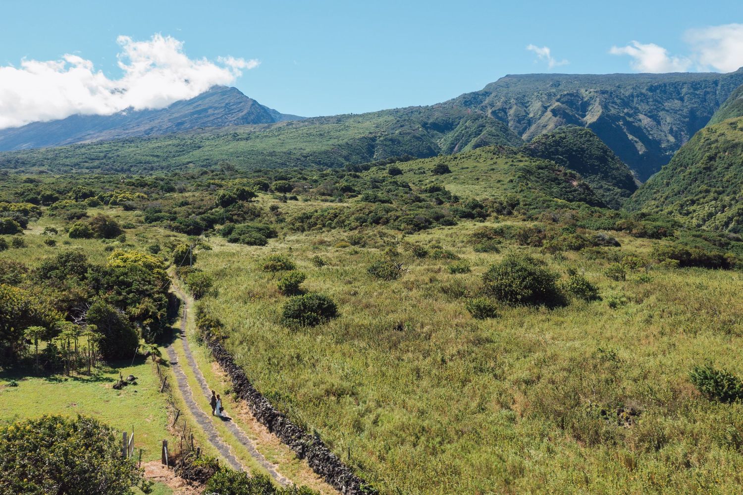 Panoramic view of lush green mountains and valleys in Hawaii with blue skies overhead.
