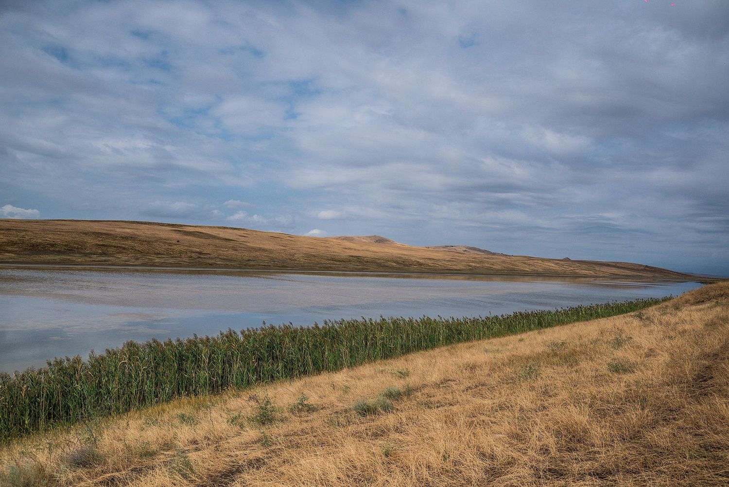 Rolling golden hills meet green farmland under cloudy skies in Eastern Washington's Palouse region.