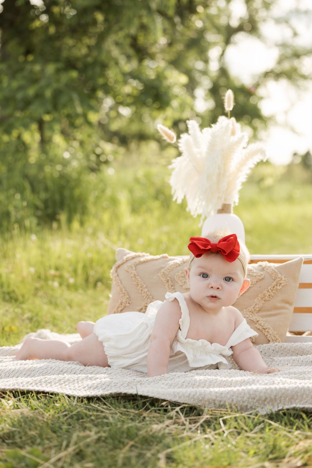 Baby in white dress with red bow lying on blanket outdoors with pampas grass decoration.