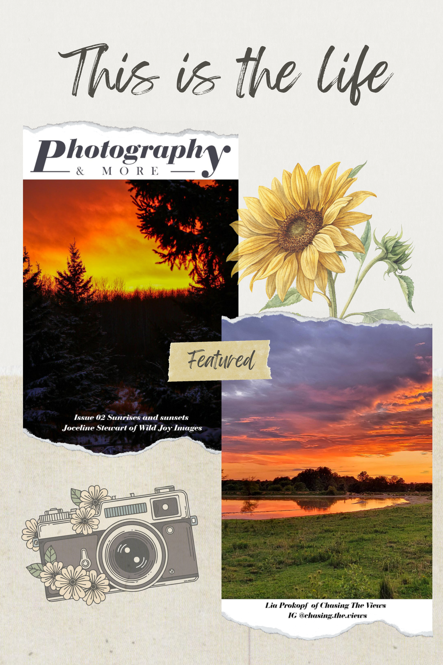Collage featuring sunset landscapes, a vintage camera sketch, and watercolor sunflower with 'This is the life' text overlay.