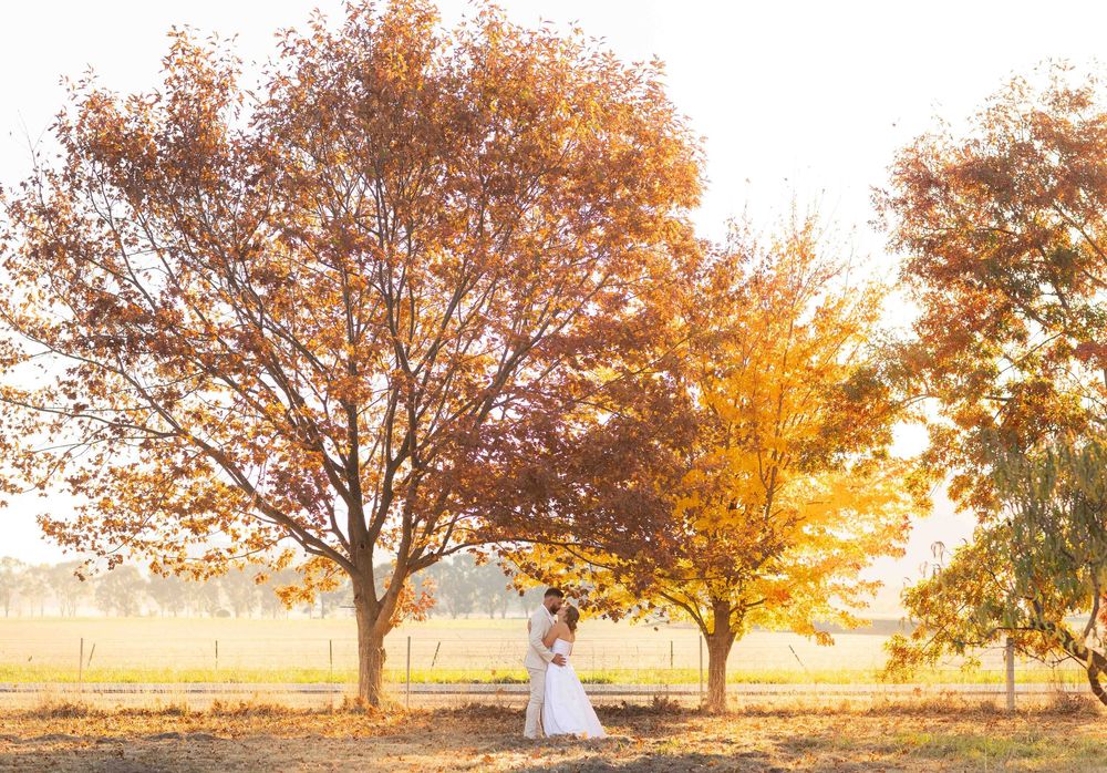 Figure stands between autumn trees at golden hour with sunlight streaming through orange and yellow foliage.