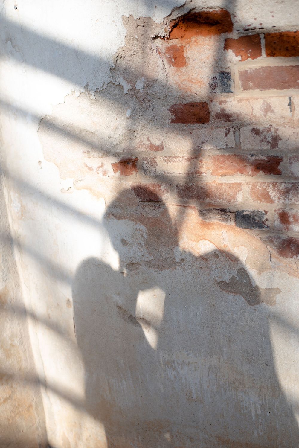 Shadows of a couple kissing cast on a textured brick wall in warm tones.