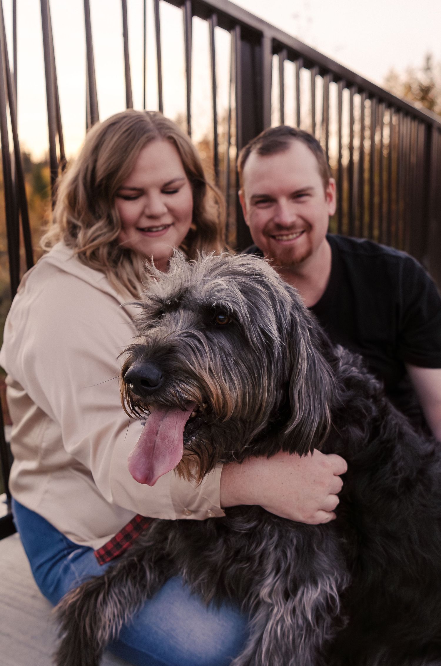 A happy black shaggy dog poses with two people on a bridge during golden hour.