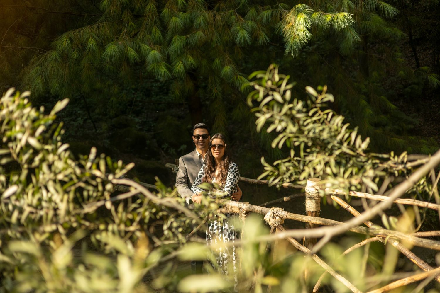 Wedding rings sparkle in natural sunlight among green foliage.
