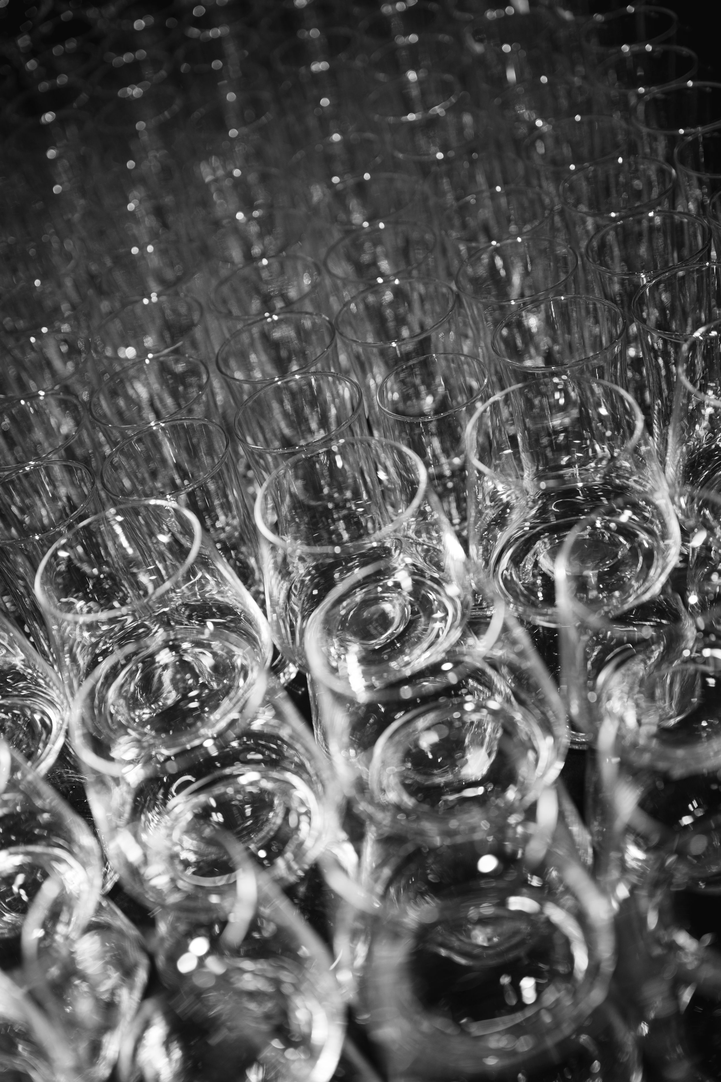 Black and white macro photograph of dandelion seeds with water droplets creating a dreamy abstract pattern.