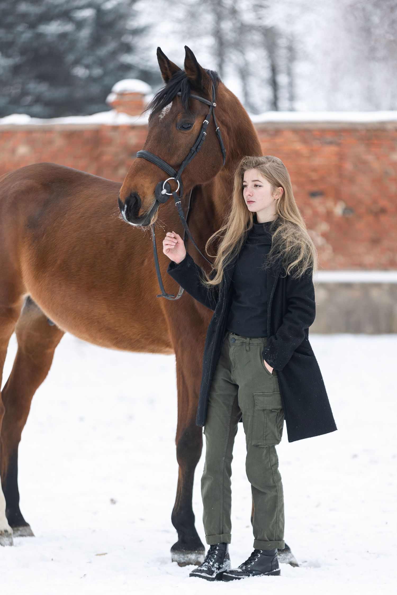 Elegant bay horse photographed in winter landscape with red brick wall background.