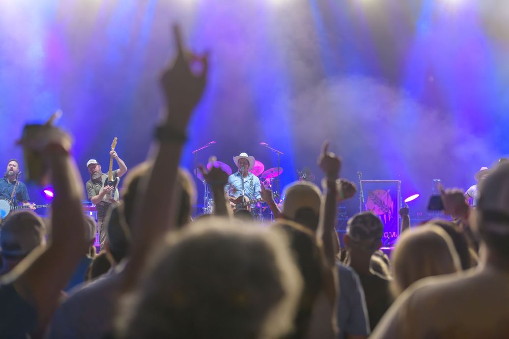 Concert crowd silhouettes with raised hands against blue stage lighting at a live music performance.
