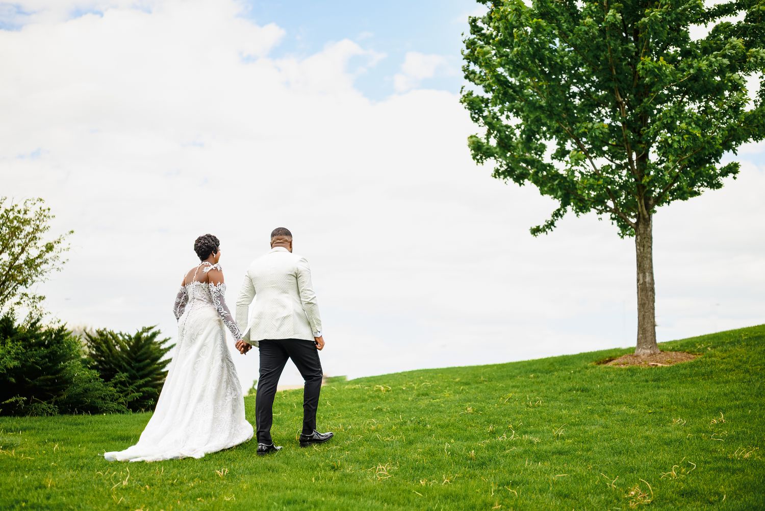 A bride and groom hold hands walking on a green hill toward a tree under a cloudy sky on their wedding day.