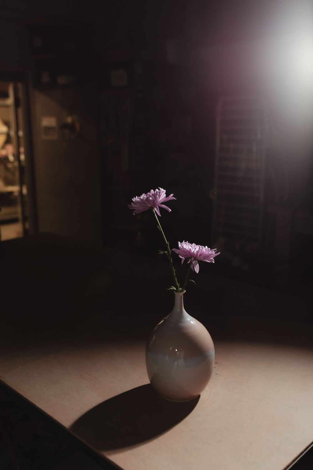 Minimalist white round vase holding two pink chrysanthemums illuminated by a soft spotlight in a dark room.