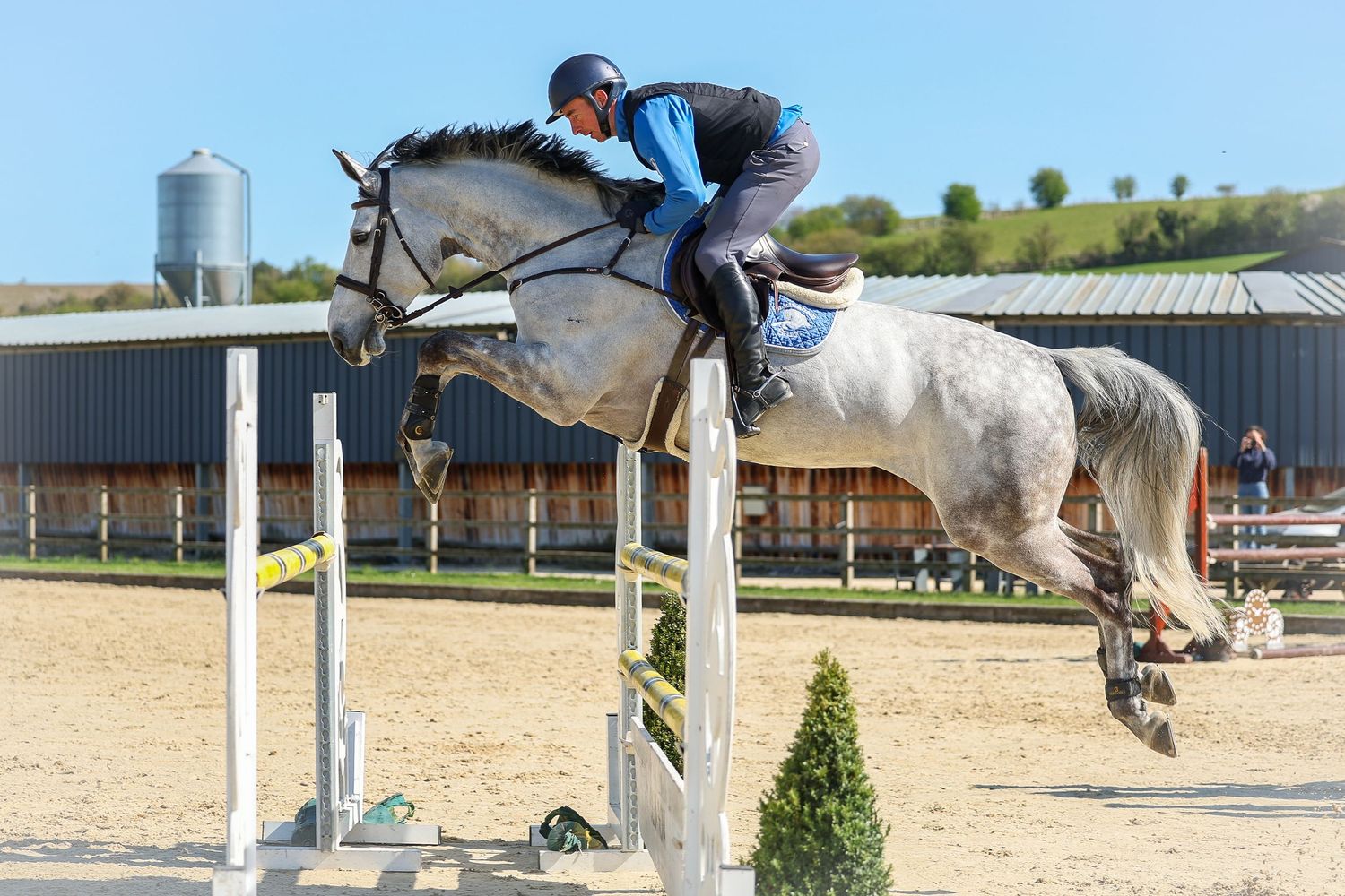 horse photography