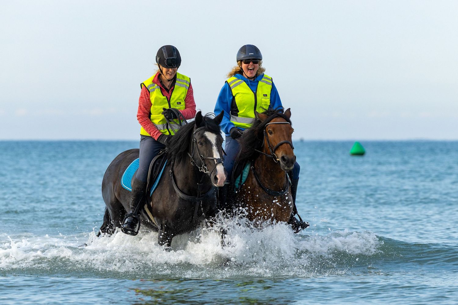 horse photography
