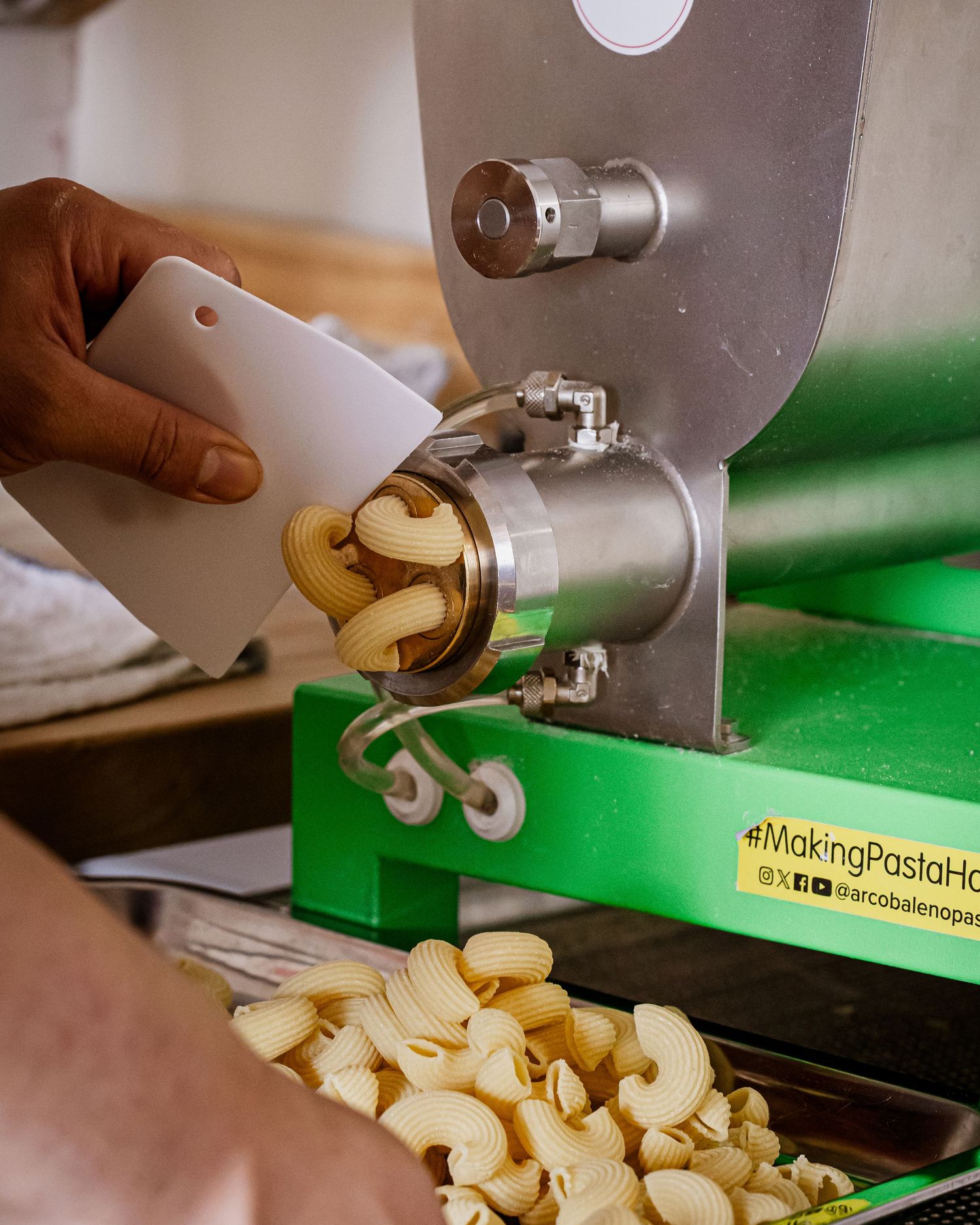Marcato Ciao pasta machine in yellow and silver displayed on a shelf next to a green ceramic cactus.