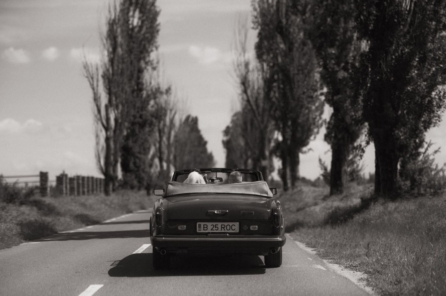 Black and white photo of a convertible car driving down a tree-lined road with two passengers.