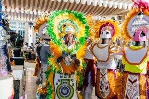 Colorful carnival performers in vibrant feathered costumes and elaborate headdresses celebrate at a festive parade event.