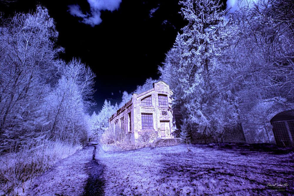 Infrared night shot of an abandoned building surrounded by glowing blue-white trees under a dark sky.