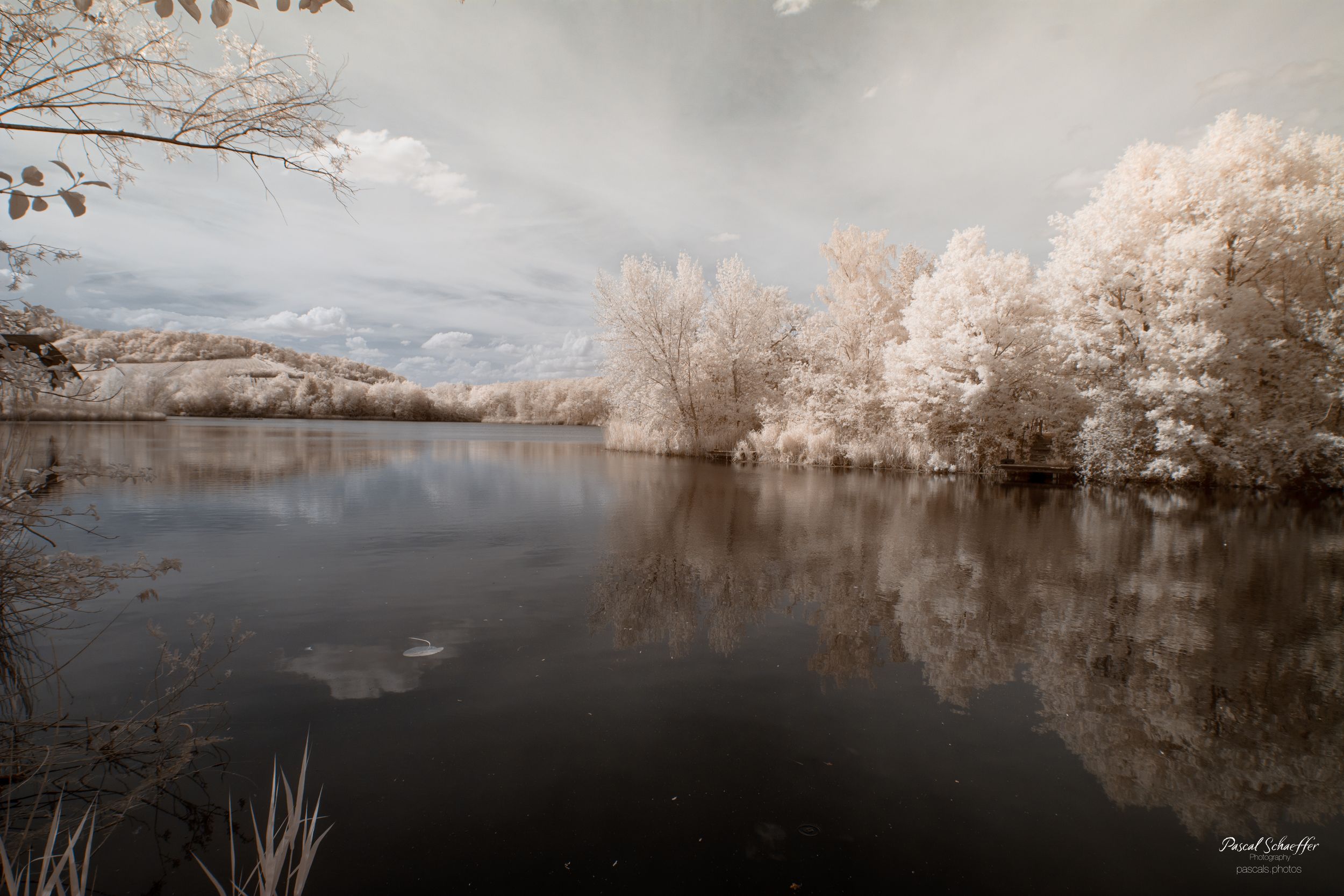 Serene infrared landscape with white trees reflecting perfectly in a still dark lake under overcast skies.