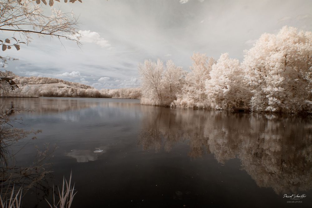 Serene infrared landscape with white trees reflecting perfectly in a still dark lake under overcast skies.