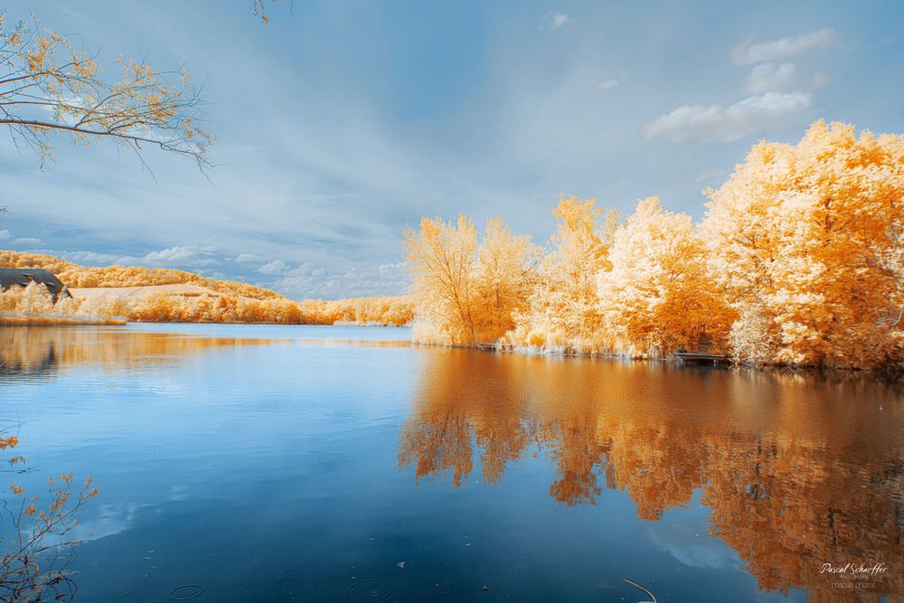Golden infrared trees reflecting perfectly in still lake waters beneath a soft blue cloudy sky.