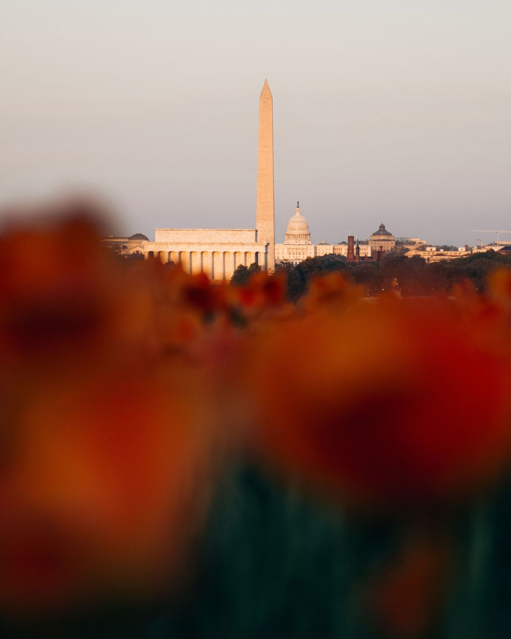 Washington DC Netherlands Carillon photography