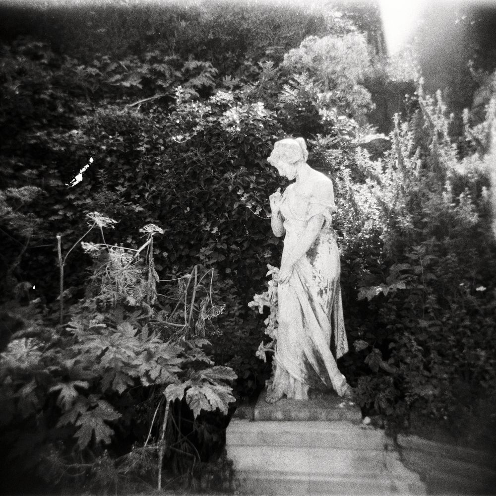 Black and white photo of a classical stone statue of a woman standing on steps surrounded by lush garden foliage.