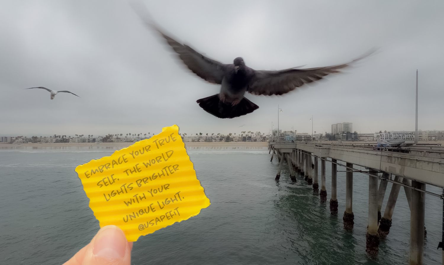 A bird flies over a pier as a hand holds a yellow note card with writing near the ocean on a cloudy day.