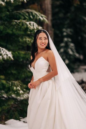 Bride in strapless white ball gown and cathedral veil poses among snow-dusted evergreen trees.