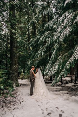 Bride and groom standing together in snowy forest surrounded by snow-covered evergreen trees.