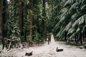 Bride and groom walk through a snow-covered evergreen forest on their winter wedding day.