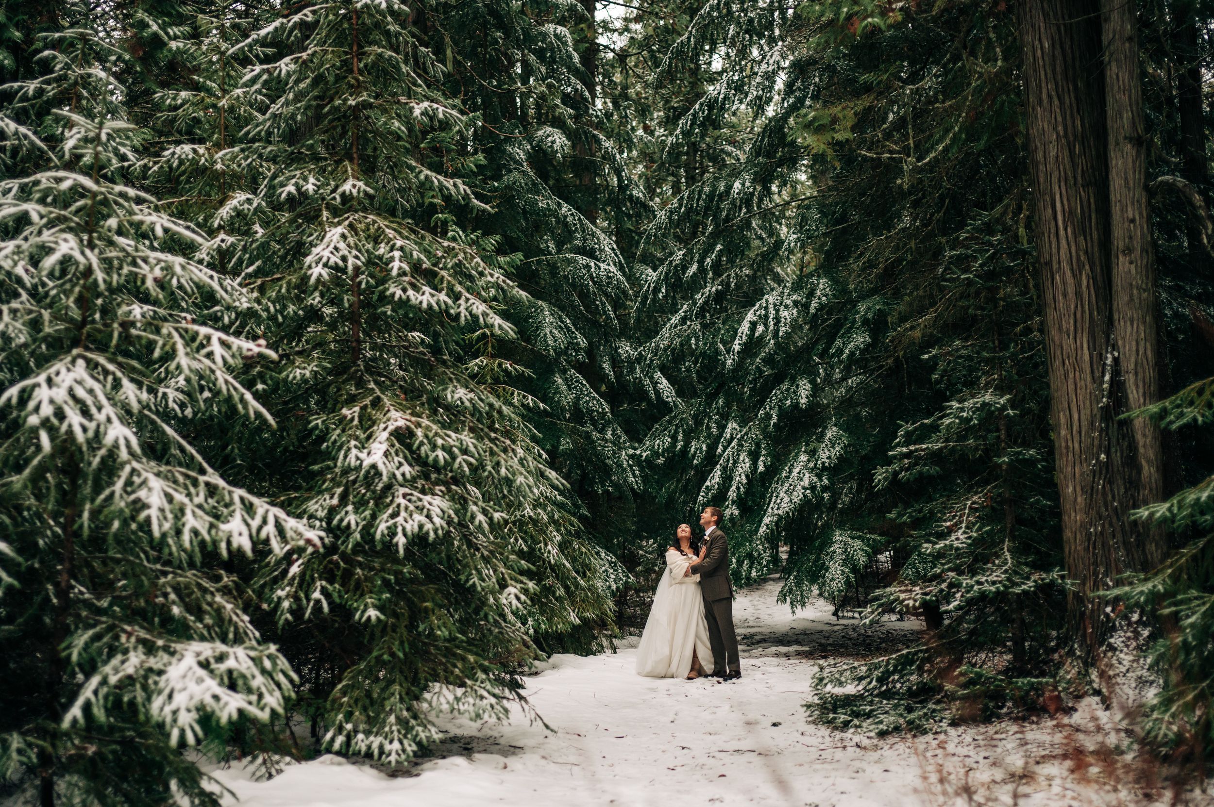 Couple shares a romantic embrace surrounded by tall snow-dusted pine trees in a winter forest.
