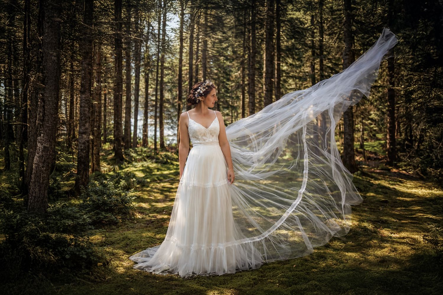 Bride in flowing white gown with veil billowing in forest clearing, surrounded by tall pine trees in soft natural light.