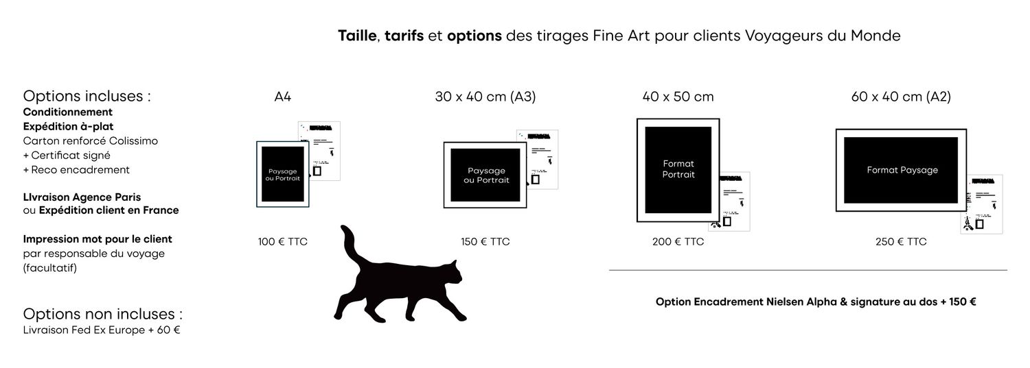 Fine Art print size guide showing four framing options with a cat and Eames chair for scale reference.