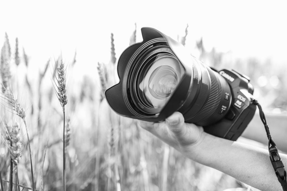 Black and white photo of a hand holding a DSLR camera with a wide-angle lens in a wheat field.