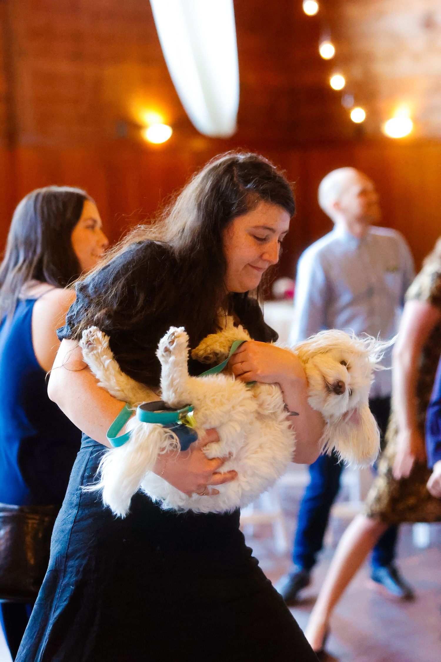 Someone holding a fluffy white dog during a party in a rustic venue with string lights.