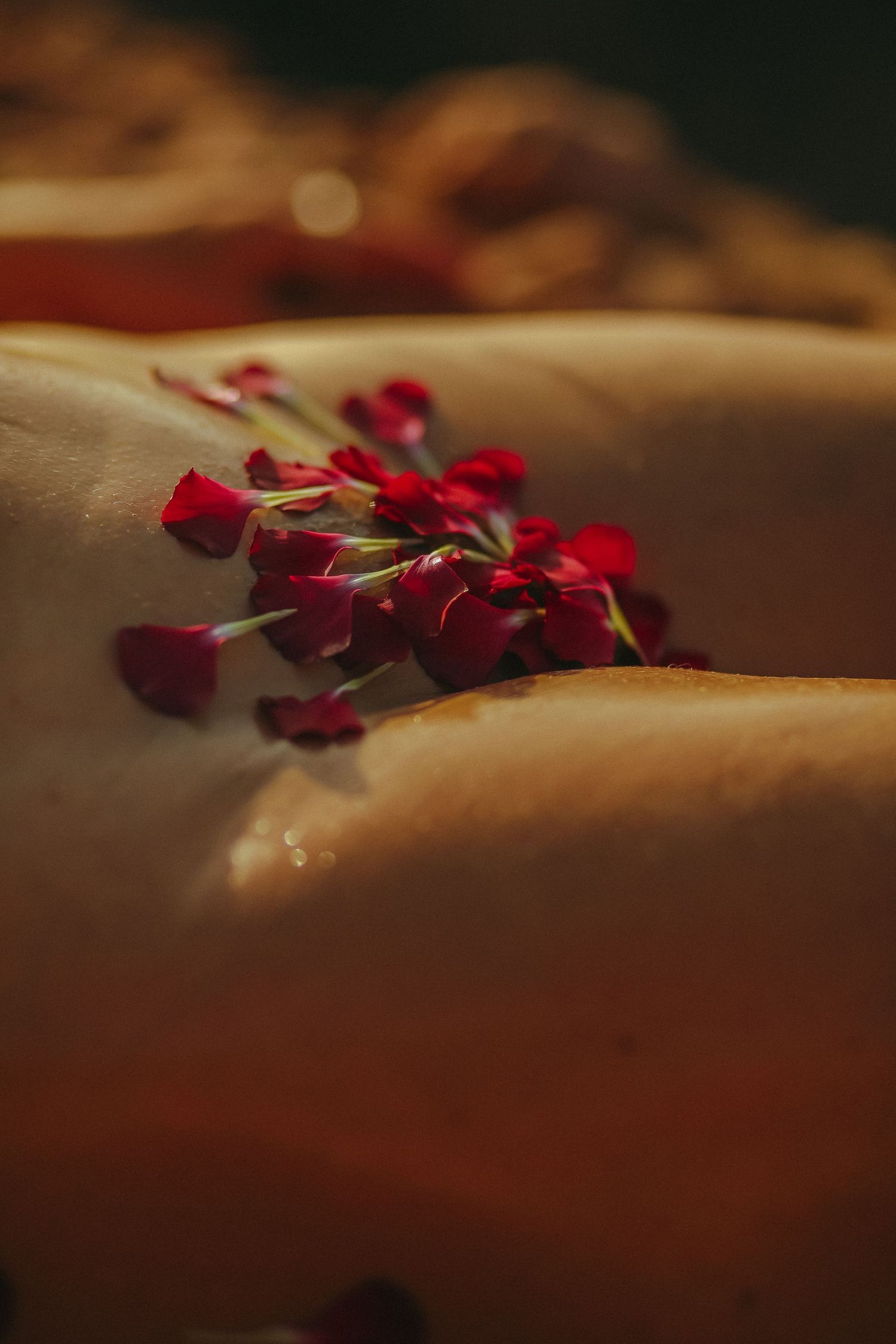 Red flower petals scattered on a soft brown surface create a romantic and moody atmosphere in dim lighting.