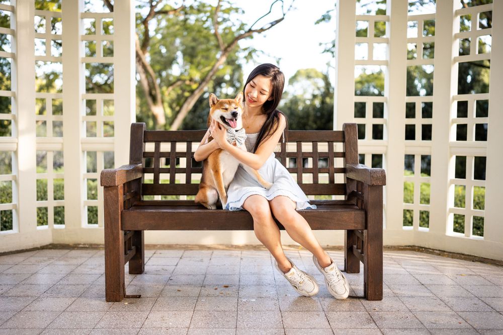 Small dog being cuddled on wooden bench in outdoor garden setting.