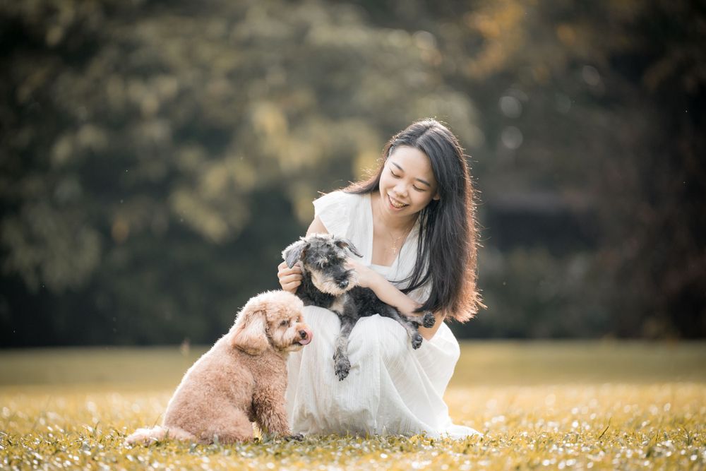 Three dogs sit together with their caregiver in a sunny meadow.
