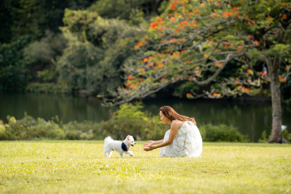 Person in white dress playing with small dog by serene lakeside.
