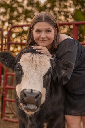 A black and white dairy cow poses with someone in a black shirt against a warm sunset backdrop and red farm gate.