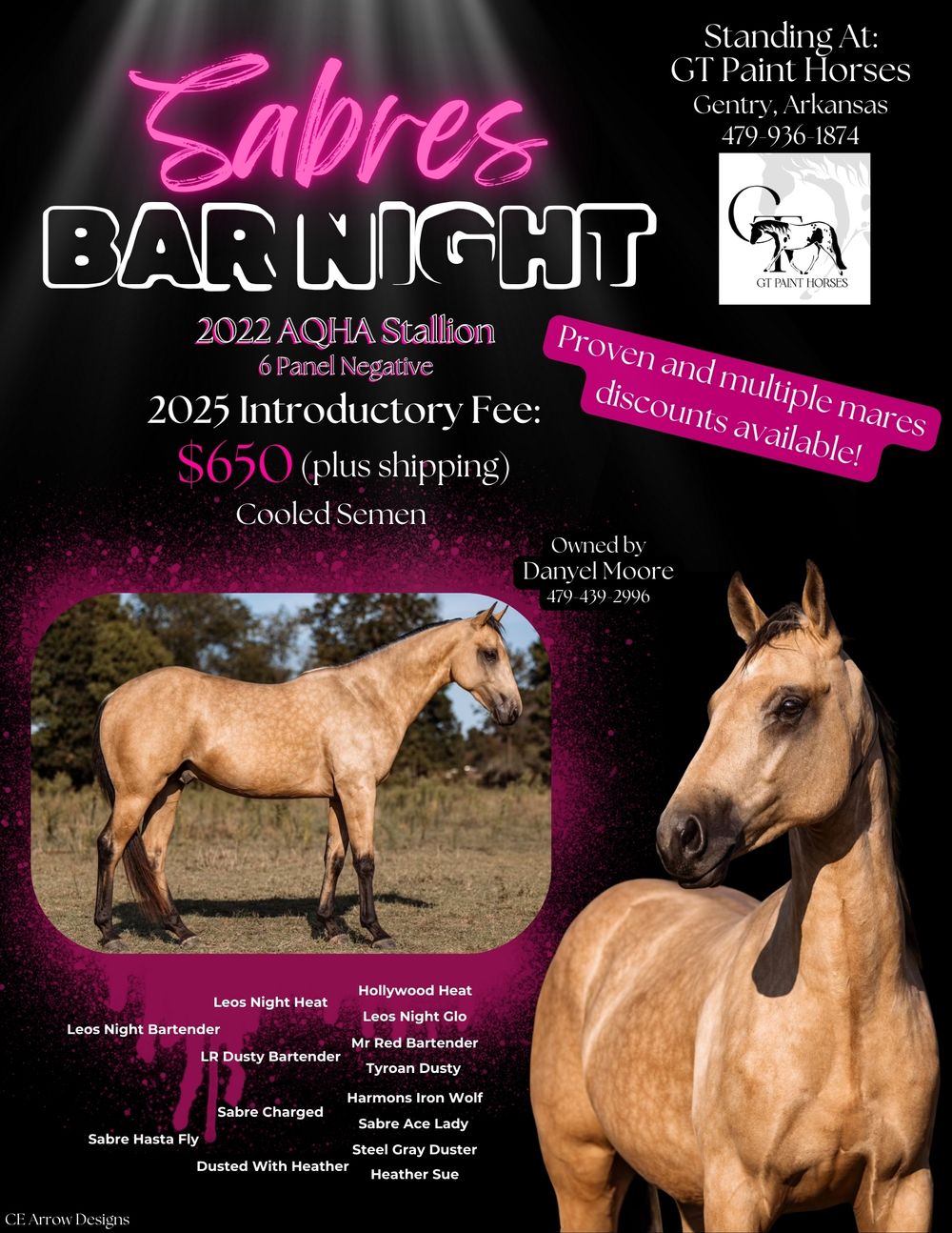 Promotional poster for Sabres Bar Night showcasing an AQHA buckskin stallion.