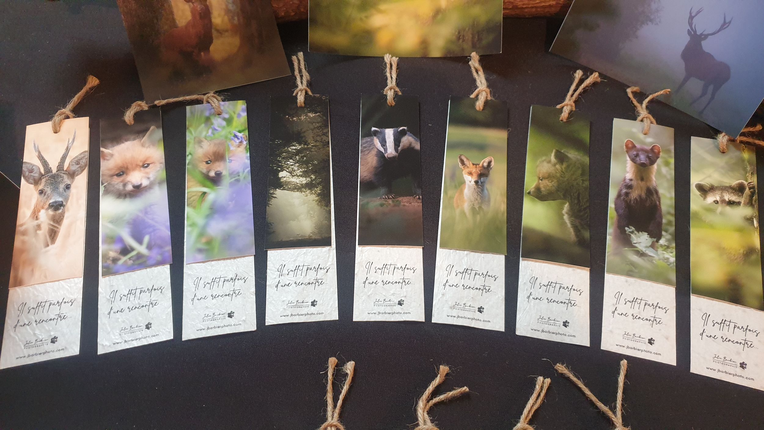 Collection of artistic wildlife bookmarks displayed in a row with string attachments.
