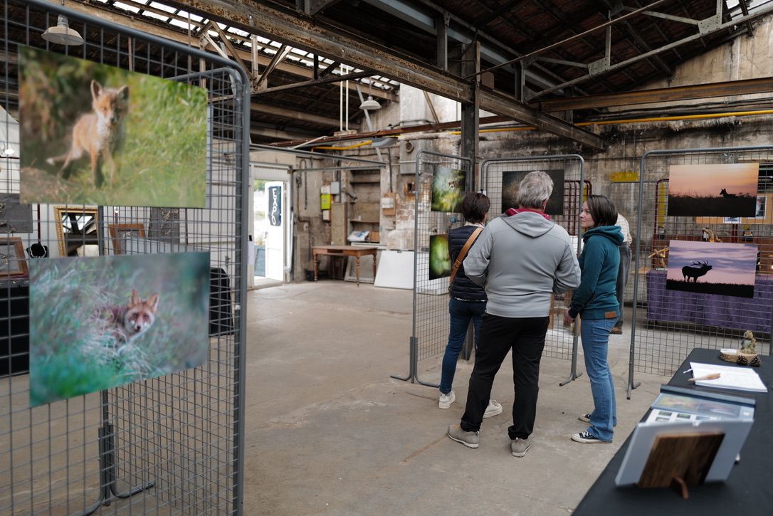 Art gallery exhibition space with photographs displayed on wire mesh panels in an industrial setting.
