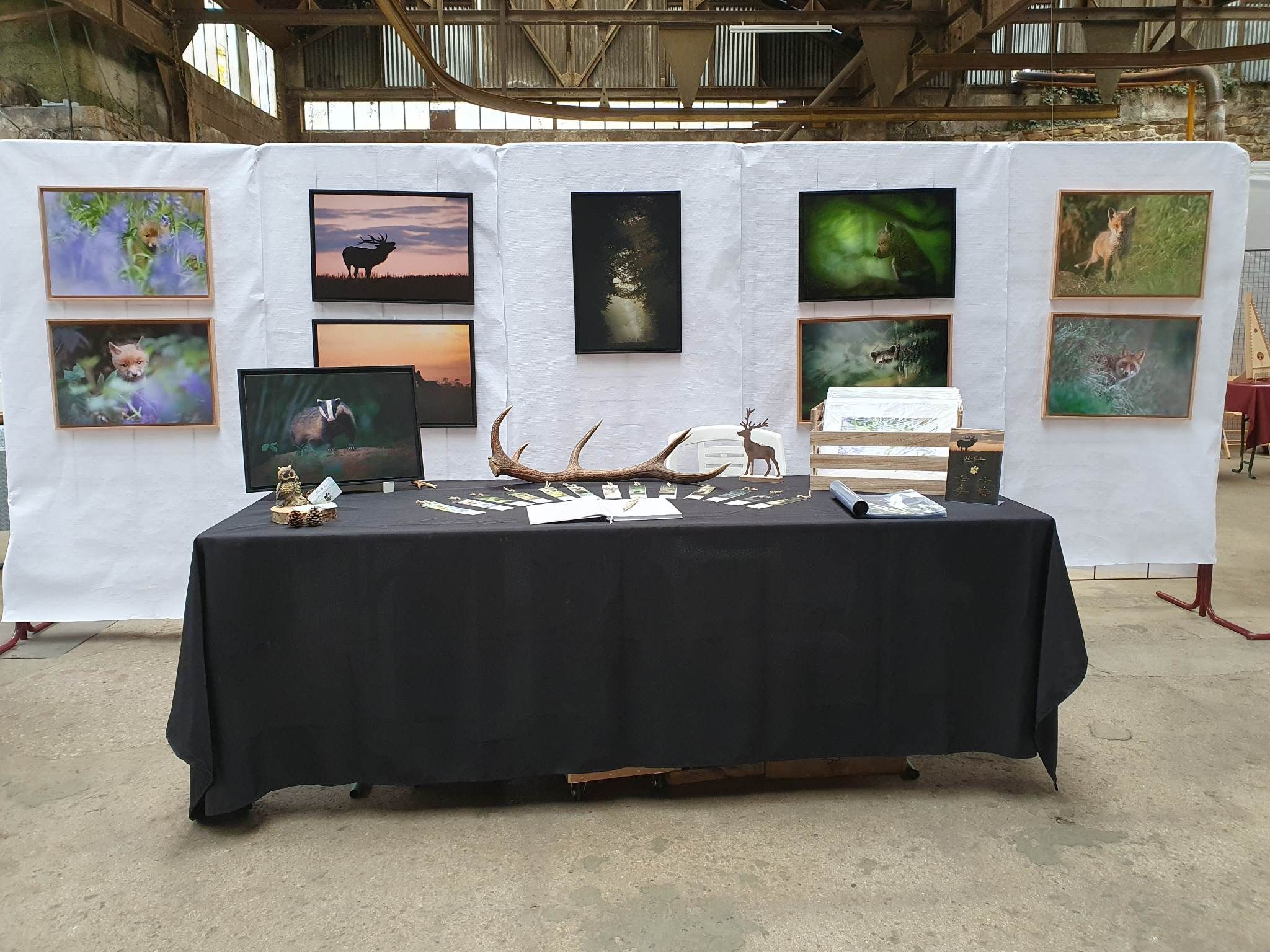 Photography exhibition display with wildlife prints and antler decorations on a black-covered table.