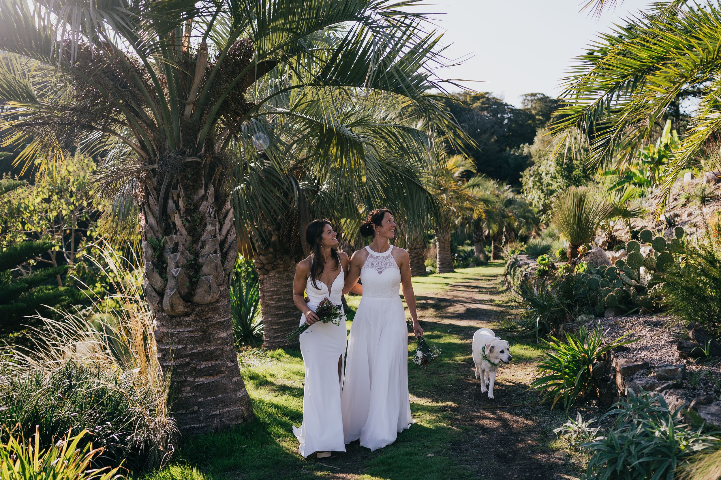 Two bridesmaids in white gowns walk with a small dog along a palm-lined garden path on a sunny wedding day.
