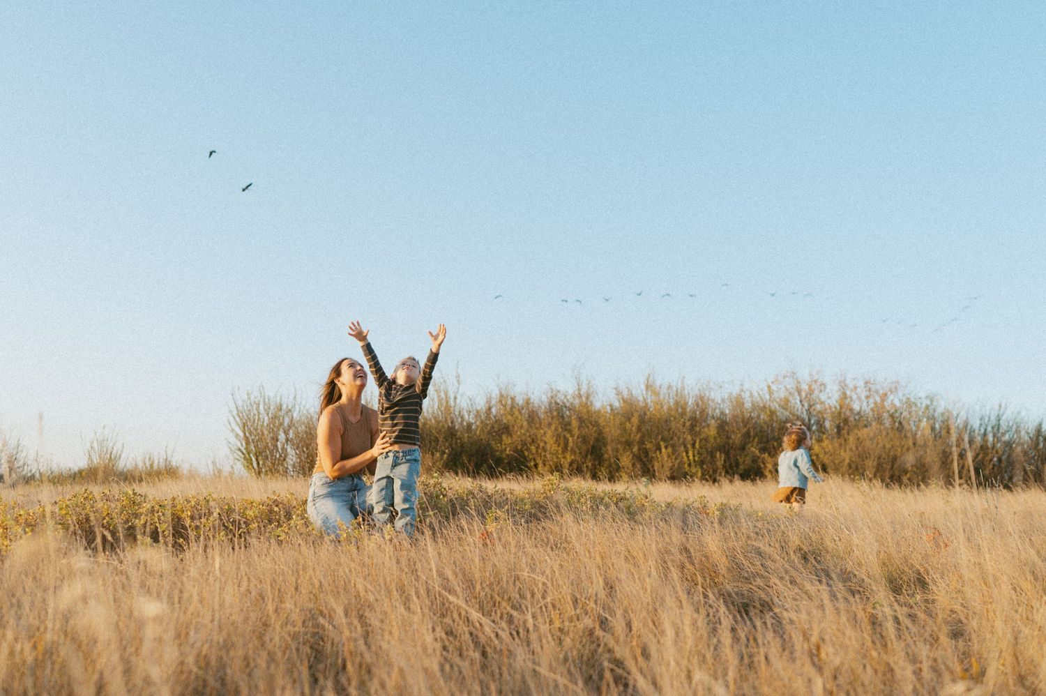 People jumping and playing in tall grass field during sunset.