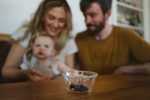 family photographers kansas city