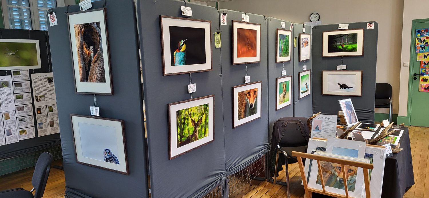 Art gallery interior with framed photographs and artwork displayed on gray walls next to a small desk area.