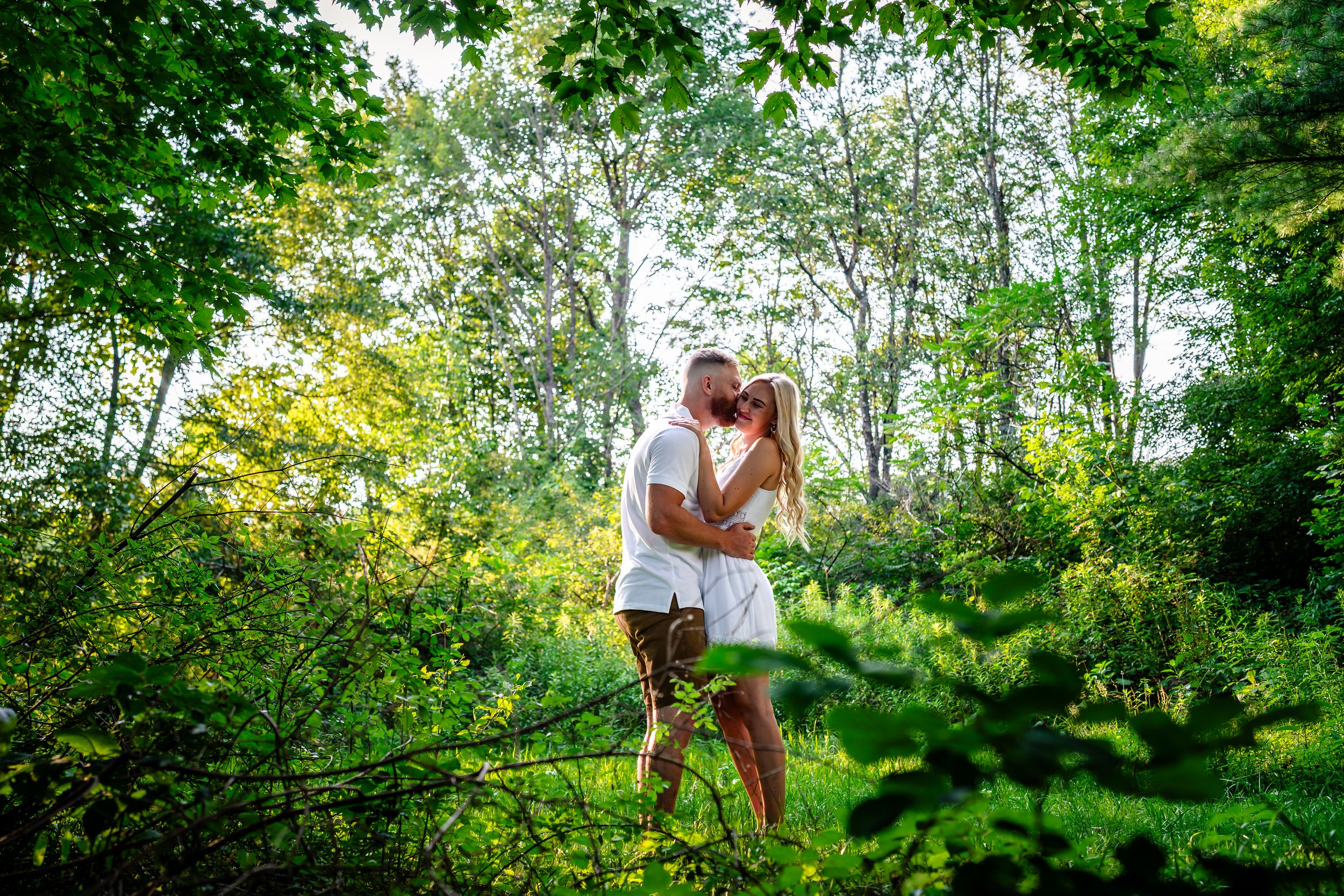 Scenic forest landscape with green foliage and natural lighting creating a romantic backdrop.