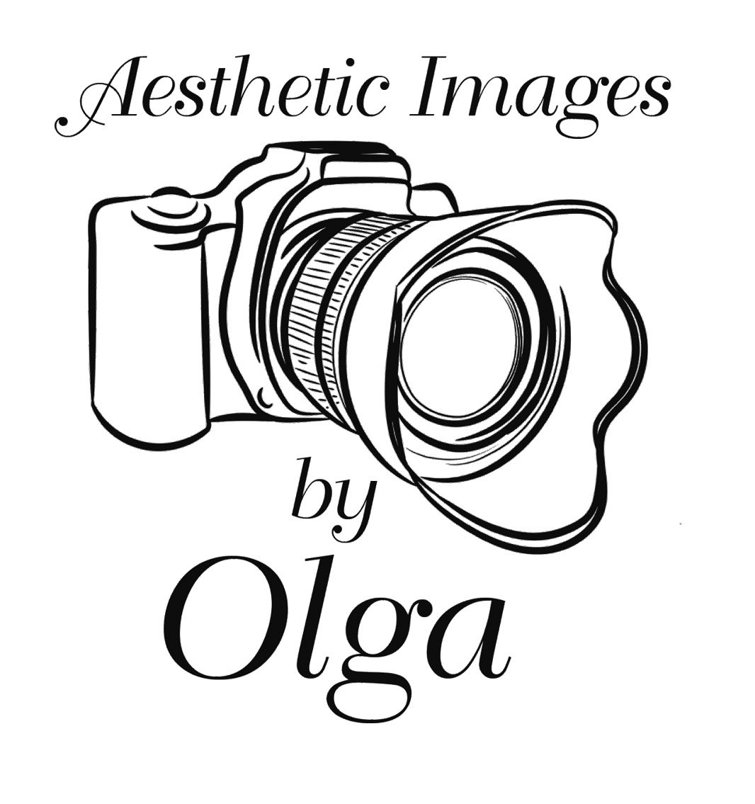 Decorative text reading 'Aesthetic Images' with an elegant camera logo in a stylized artistic design.