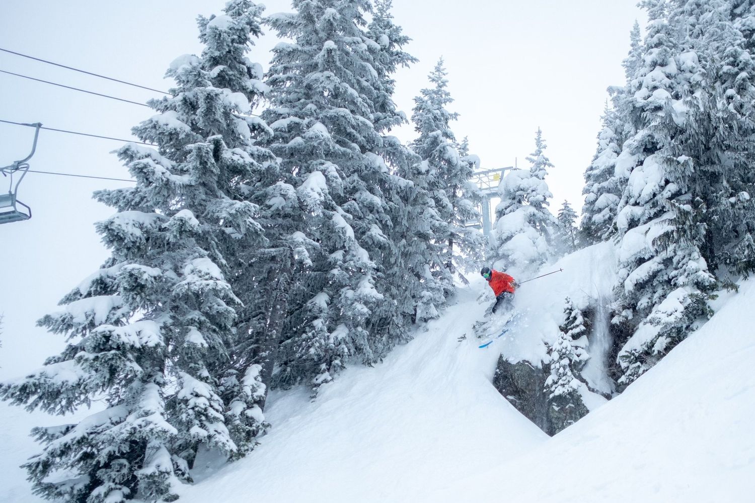 Snow-covered evergreen trees with ski lift cables stretching across winter landscape.